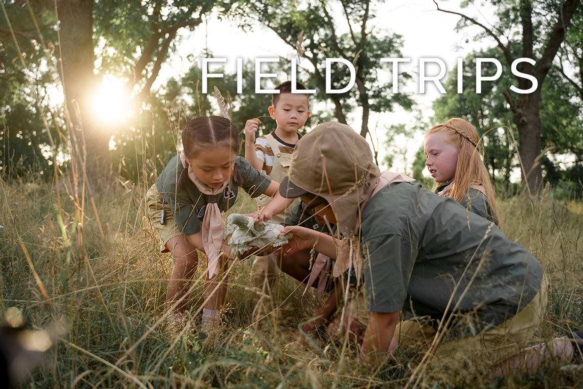 Field Trips